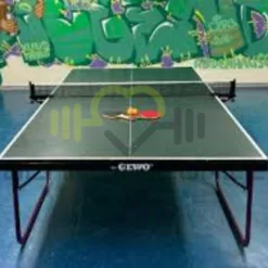 Table Tennis Equipment: Table Tennis Ball Pack (6) in Texas